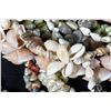 Image 2 : Collection of 9 Shell Necklaces
