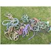 Image 1 : HALTERS AND ROPES