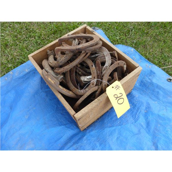 QTY OF HORSE SHOES