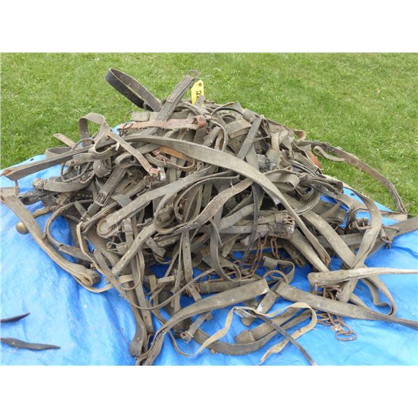 ASSRT. LEATHER HARNESS