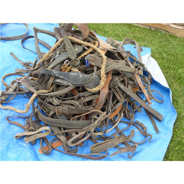 ASSRT. LEATHER HARNESS