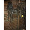 Image 2 : HARNESS AND REINS