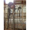 Image 2 : HARNESS AND REINS