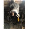Image 2 : ENGLISH SADDLE