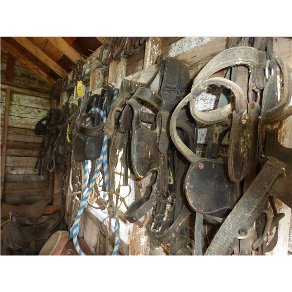 DRAFT BRIDLES