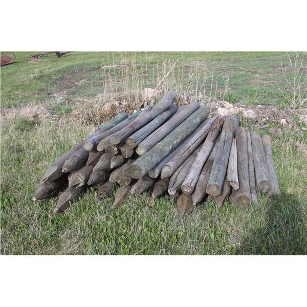 FENCE POSTS