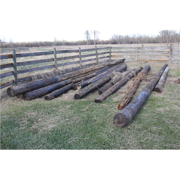 QUANTITY OF POLES (SOME GOOD ONES)