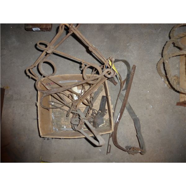 TRAPS (1 BEAVER & 2 SMALL)