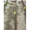 Image 1 : 18' CHAIN