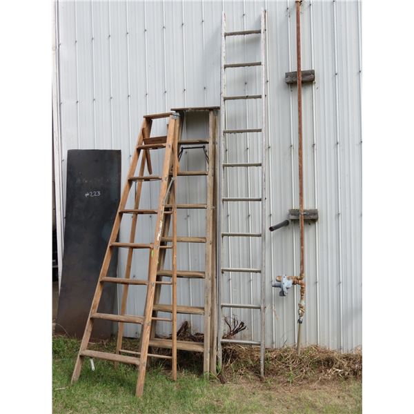 3- LADDERS