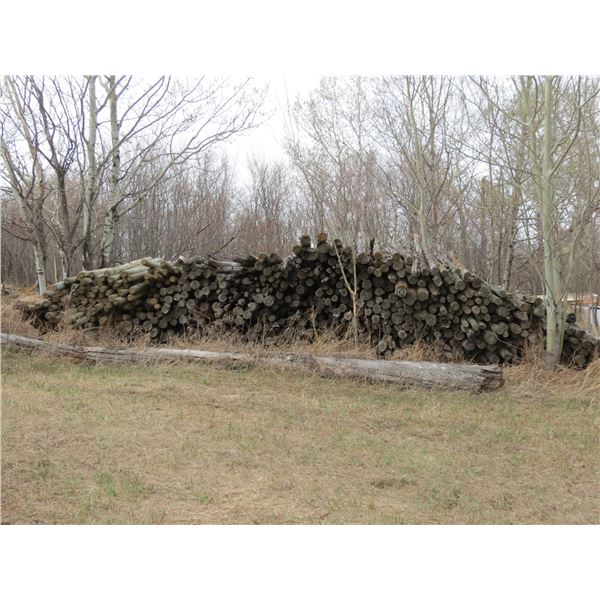 PILE OF POSTS (BUYER TO LOAD)