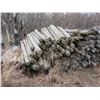 Image 2 : PILE OF POSTS (BUYER TO LOAD)