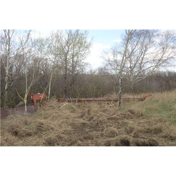 OLD DISCER IN SOUTH YARD