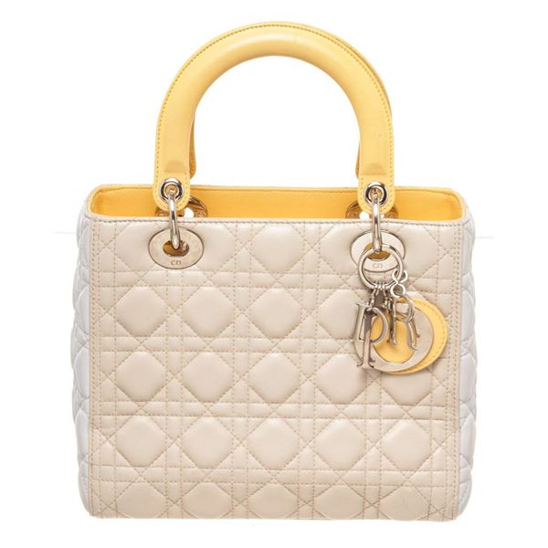 Christian Dior Multicolor Leather Lady Handbag