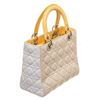 Image 3 : Christian Dior Multicolor Leather Lady Handbag