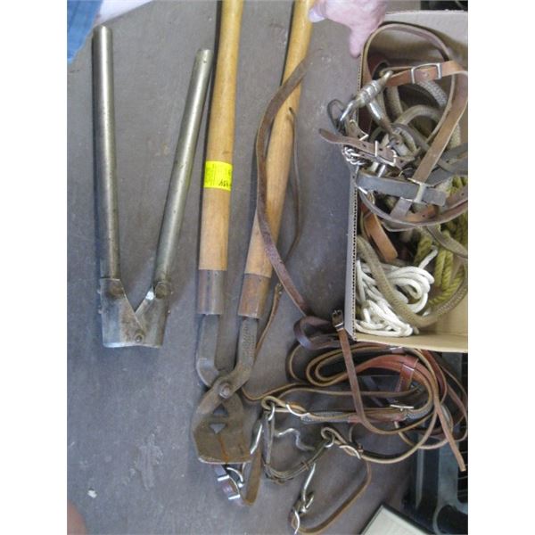 BOX OF MISC. HOOF TRIMMERS, DEHORNERS, BRIDLE, ETC.