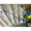 Image 3 : WOODEN CARVED FISH, SINGLE FISH HAS REPAIRED TAIL