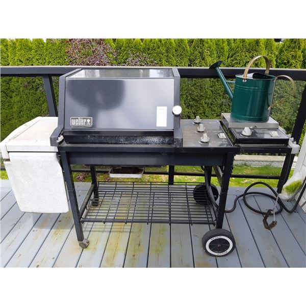 Weber BBQ C