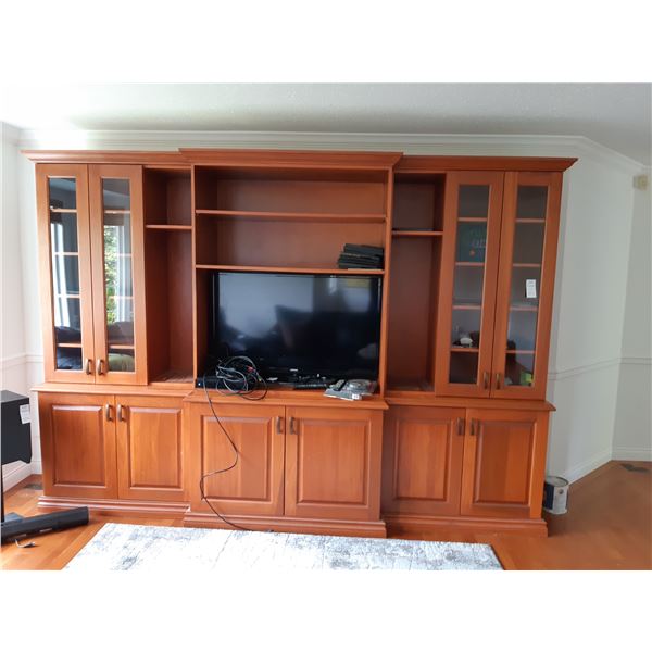 Entertainment Unit Cat C