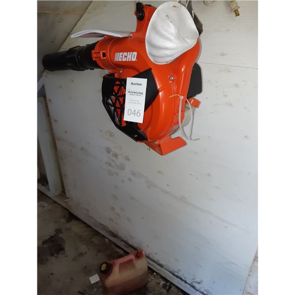 Echo Leaf Blower Cat B