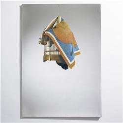Michelangelo Pistoletto La Gabbia