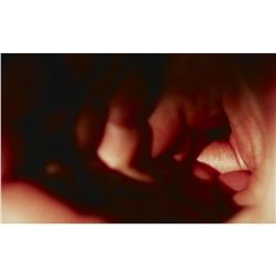 Jeanne  Dunning Hand Cavern
