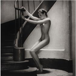 Nigel Scott untitled