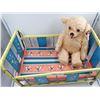 Image 2 : Vintage metal doll bed and teddy bear