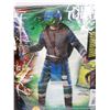 Image 3 : Children's Halloween costumes, Ironman and Ninja turtle