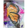 Image 3 : Butterfly wings lot