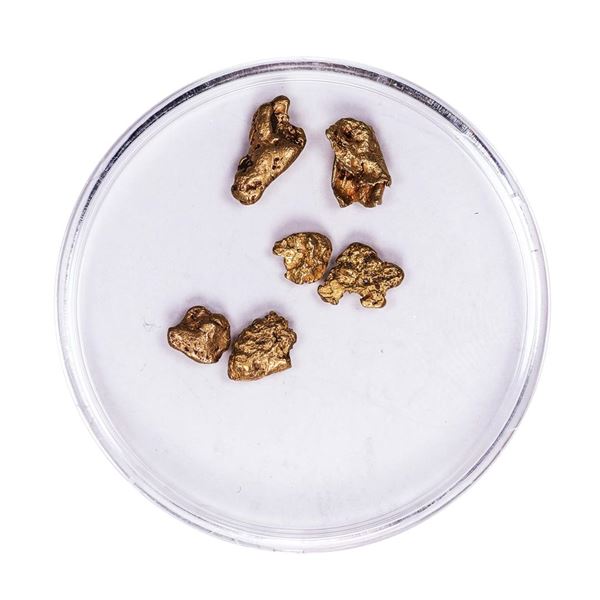 Lot of Gold Nuggets 2.27 Grams Total Weight