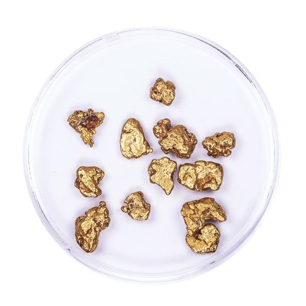 Lot of Gold Nuggets 5.95 grams Total Weight
