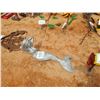 Image 2 : ALUMINUM MERMAID  (C6)