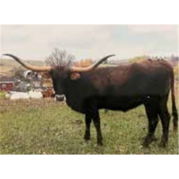 GW COUNTRY TREASURE