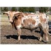 Image 1 : SCRATCH- M.C. Mr Bojangles