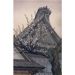 Toshi Yoshida