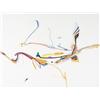 Image 1 : Alex Simeon Janvier