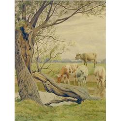 William Sidney Cooper
