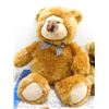 Image 4 : Lot of 5 Golden Brown Teddy Bear Collector Plush