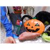 Image 2 : Halloween Decorations Haunted House Severed Limbs Science Lab