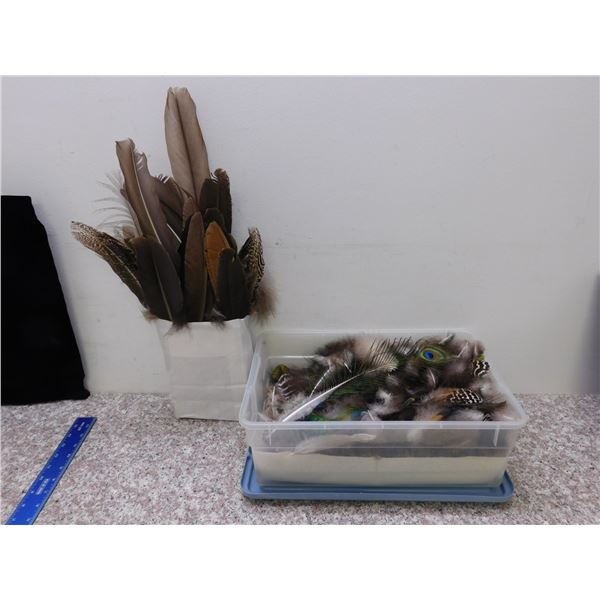 Two Containers of Peacock Feathers Brown & Colourful