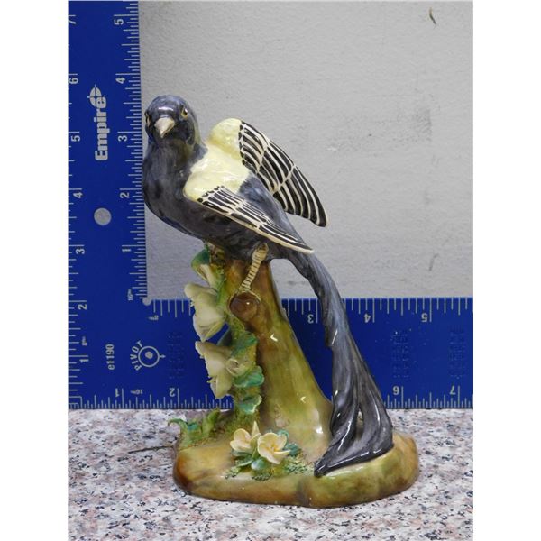 Crown Staffordshire J.T. Jones Bone China Bird Widow