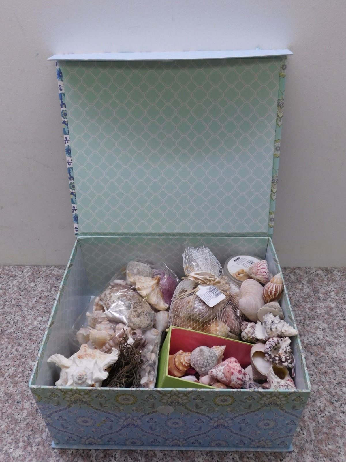 Box of Shells Craft Decor Seashells Nautical