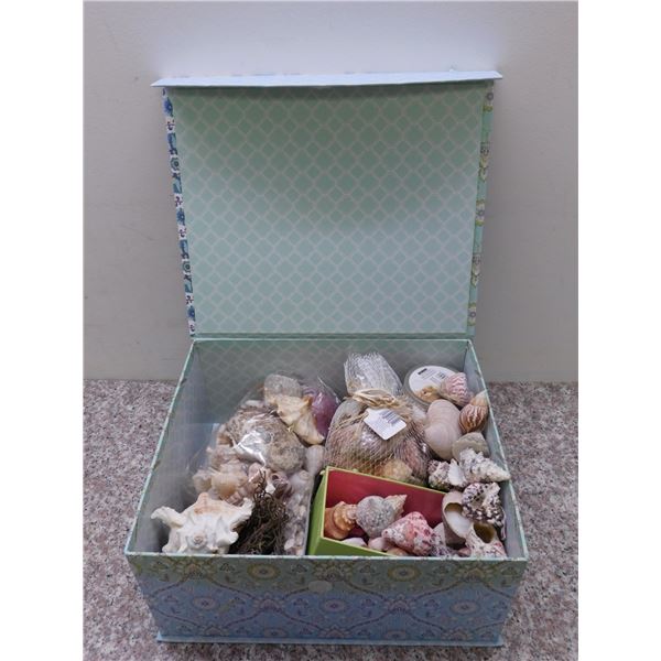 Box of Shells Craft Decor Seashells Nautical