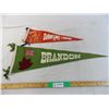 Image 1 : Dawson BC and Brandon pennants