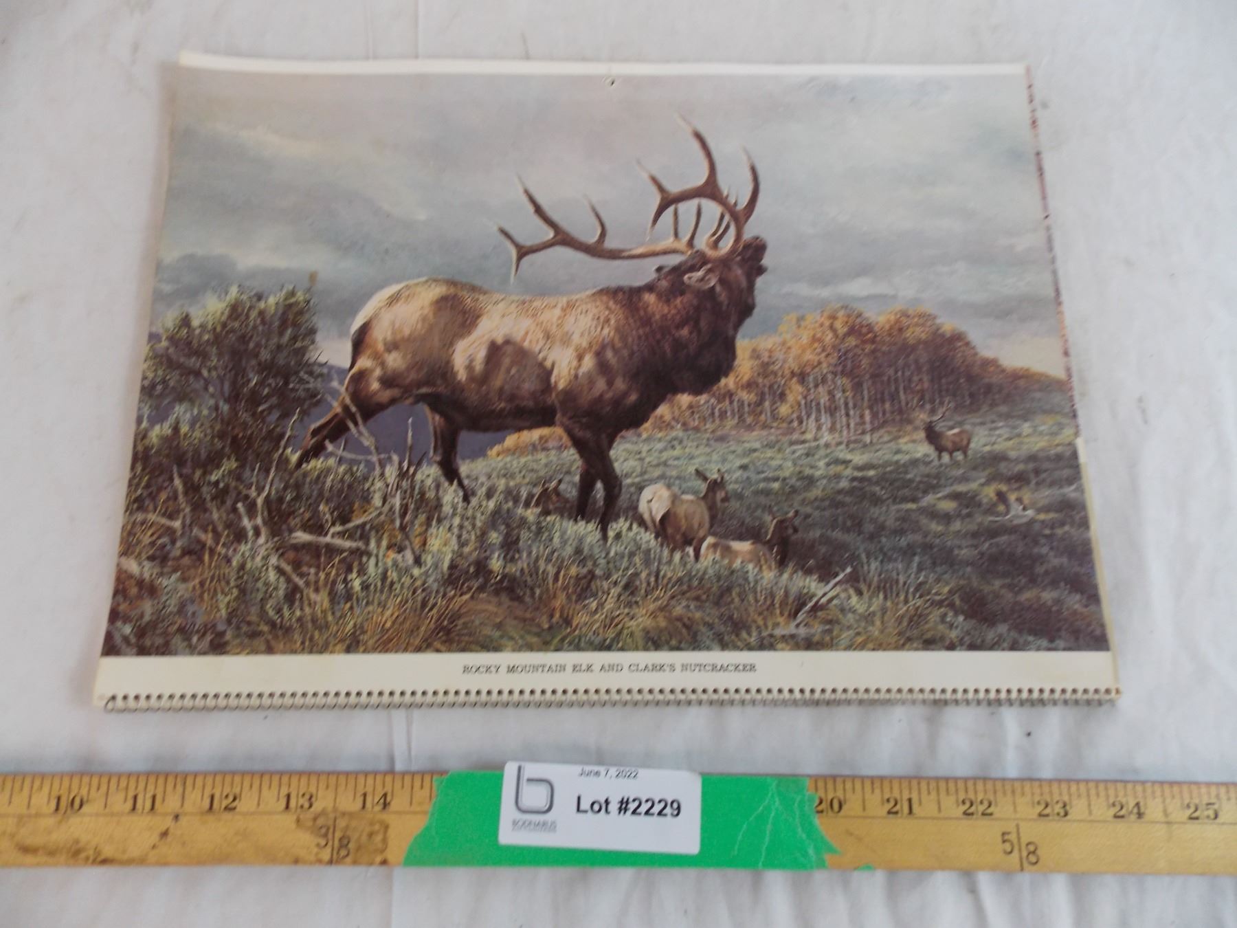Remington Calendar 1978 remington-calendar-1978