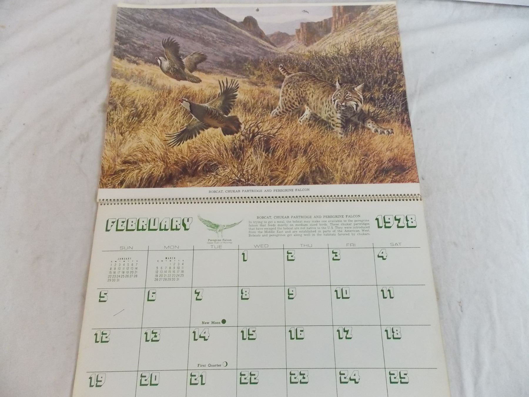 Remington Calendar 1978 Bodnarus Auctioneering