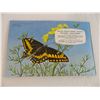 Image 4 : Butterflies of North America Red Rose tea album