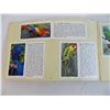 Image 3 : Tropical Birds Red Rose Tea album