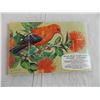 Image 4 : Tropical Birds Red Rose Tea album